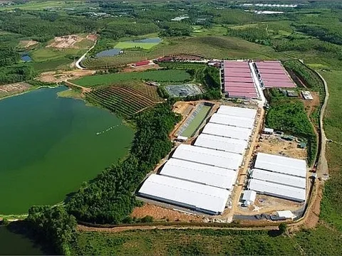 Vi phạm Luật Bảo vệ môi trường, Công ty CP Tập đoàn Dabaco bị phạt 300 triệu đồng